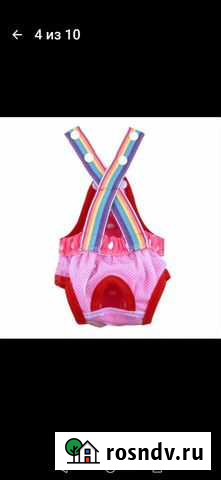 Трусики для собак Тюмень - изображение 1