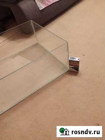 Аквариум Калининград - изображение 1