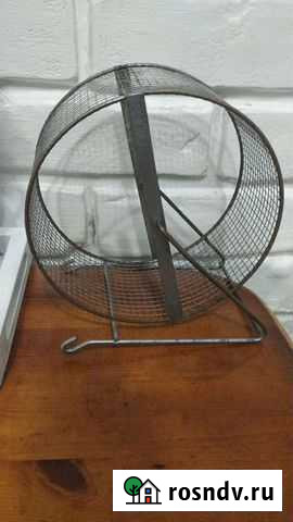 Колесо для грызунов Рыбинск - изображение 1