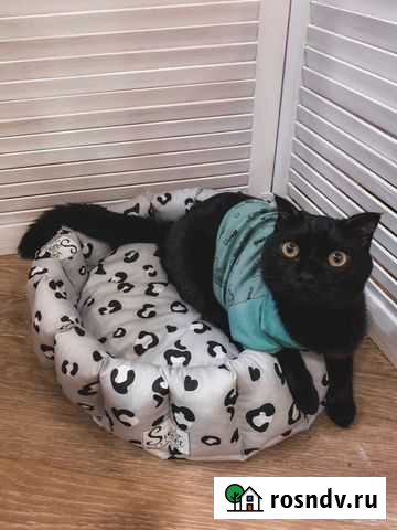 Лежанка Благовещенск - изображение 1