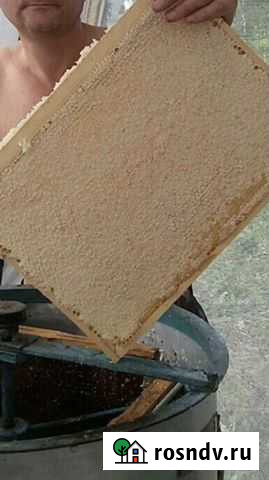 Пчелопакеты, пчеломатки, вощина Красноярск - изображение 1