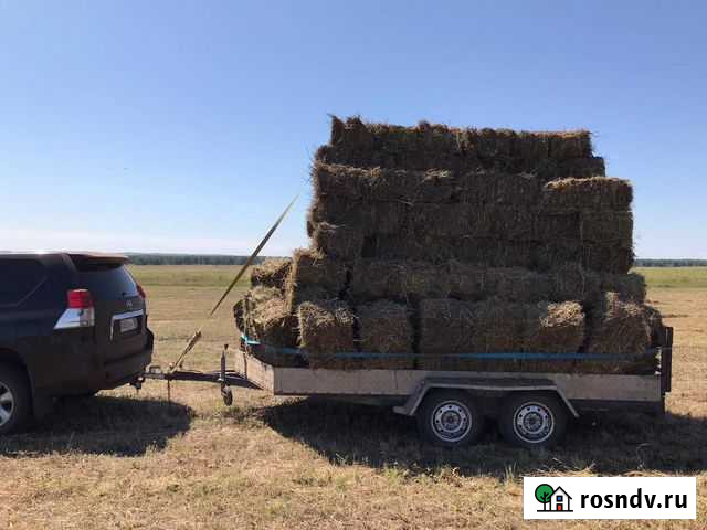 Сено Иркутск - изображение 1