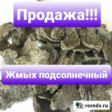 Жмых подсолнечника Димитровград - изображение 1