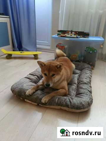 Лежанки Уфа - изображение 1