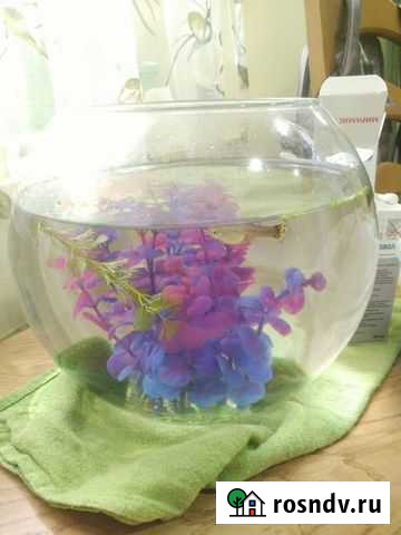 Аквариум круглый обмен Курганинск - изображение 1