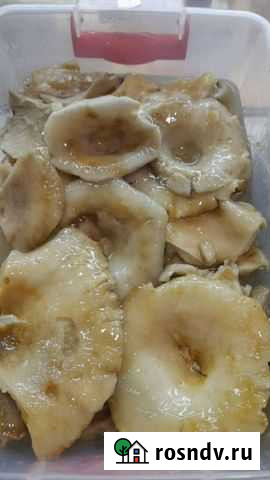 Грибы грузди соленые Благовещенск - изображение 1