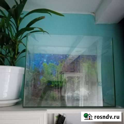 Аквариум Кстово - изображение 1