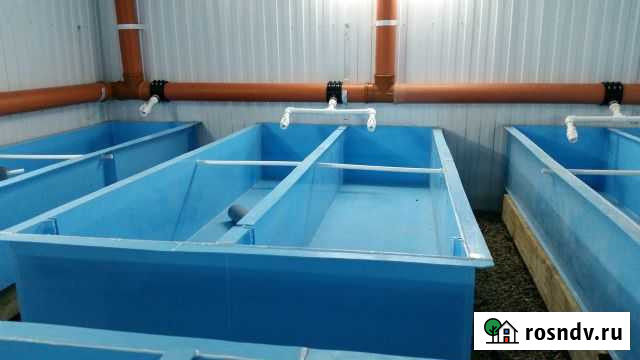 Бассейн, ёмкость, узв для рыбы Краснодар - изображение 1