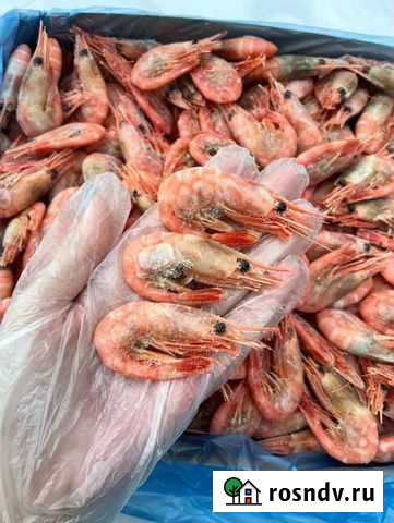 Креветки Красный Сулин - изображение 1