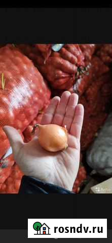 Лук Чалтырь - изображение 1