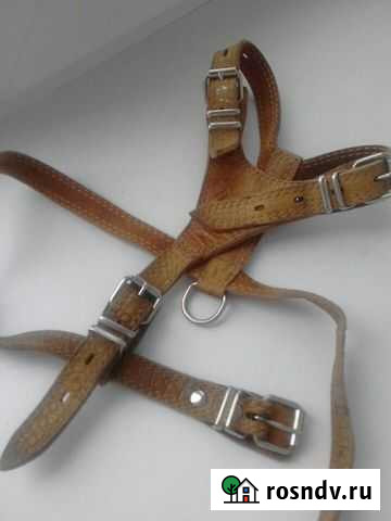 Шлейка для средних собак Псков - изображение 1