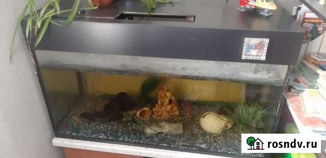 Аквариум Казань - изображение 1