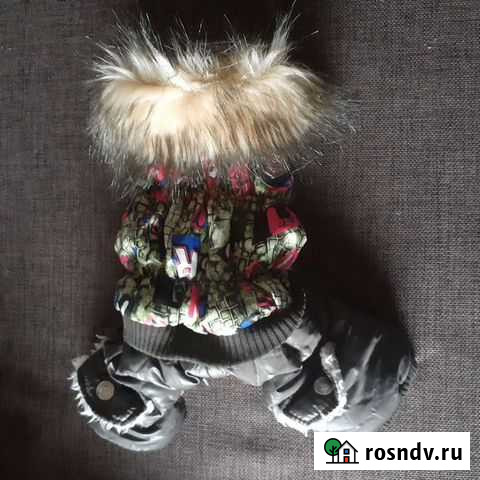 Одежда для собак продам или обмен на поменьше Сергиев Посад - изображение 1