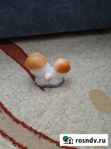 Шкатулка грибочки СССР Красноярск - изображение 1