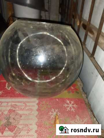 Аквариум Самара - изображение 1