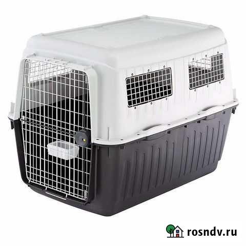 Переноска для собак в самолет Калининград - изображение 1