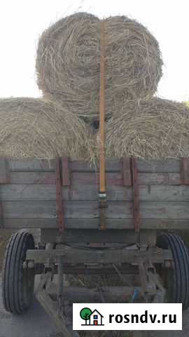 Сено Шуя - изображение 1