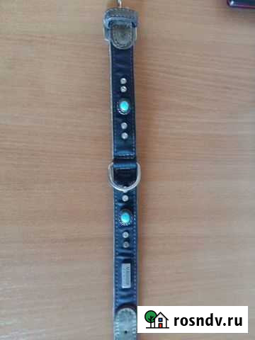 Ошейник Первоуральск - изображение 1