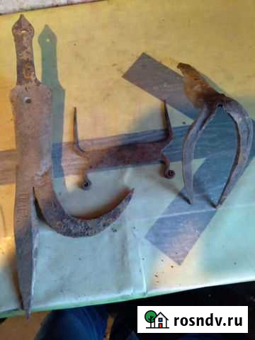 Старина Нюксеница - изображение 1