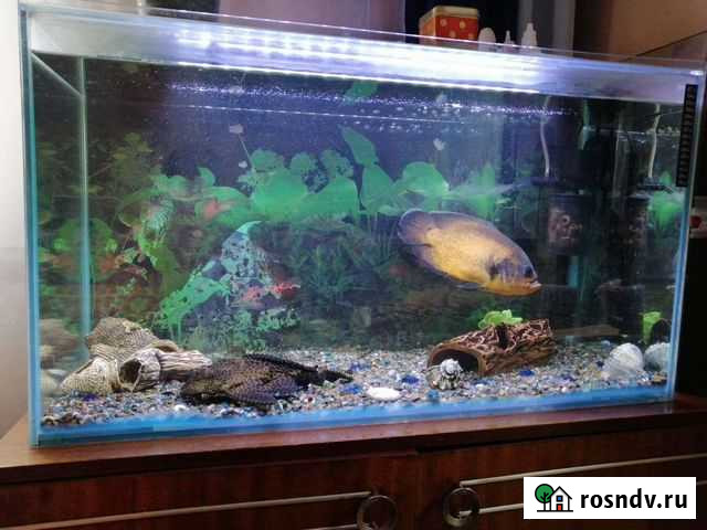 Украшение для аквариума Калтан - изображение 1