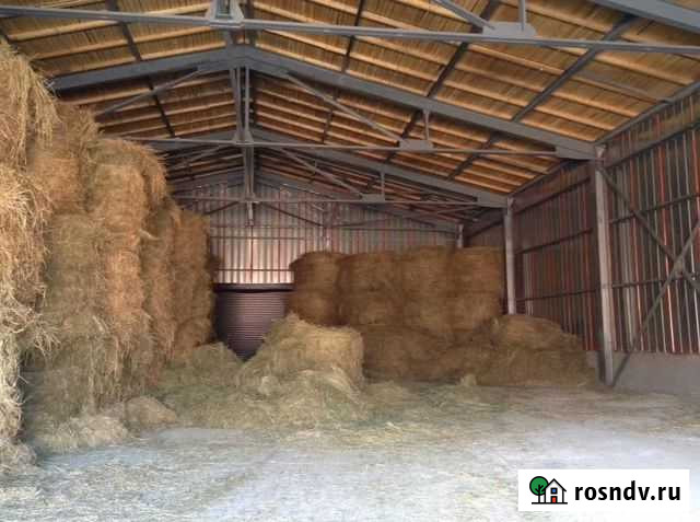 Сено Калининград - изображение 1