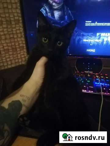 Компьютер с креслом Кондопога - изображение 1