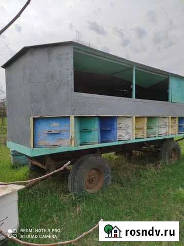 Пчелоприцеп Ильский - изображение 1