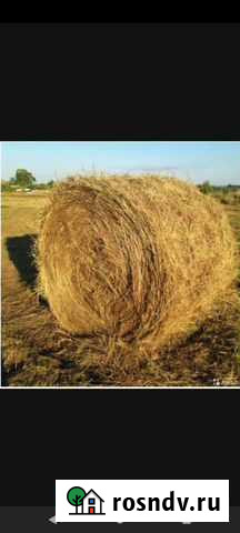 Сено в рулонах Белогорск - изображение 1