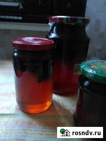 Варенье из сосновых и лиственных шишек Казань - изображение 1