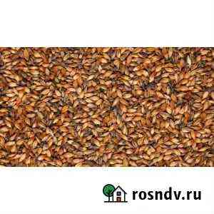 Ячменный солод Cara plus 200, Viking malt Уфа