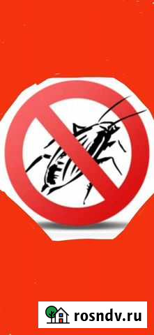 Сэс,доверие,Дезинсекция тараканов, клопов, крыс Барнаул - изображение 1