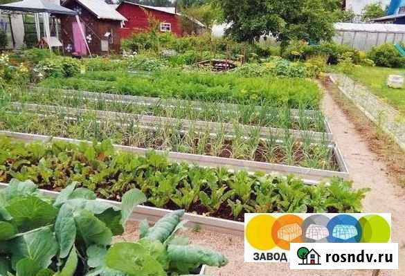 Грядки Анапская - изображение 1