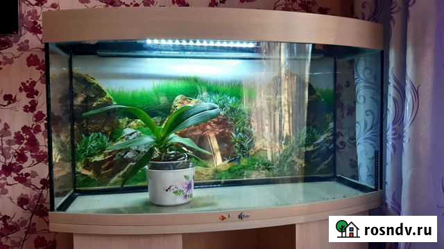 Аквариум Биодизайн 180 л Домодедово - изображение 1