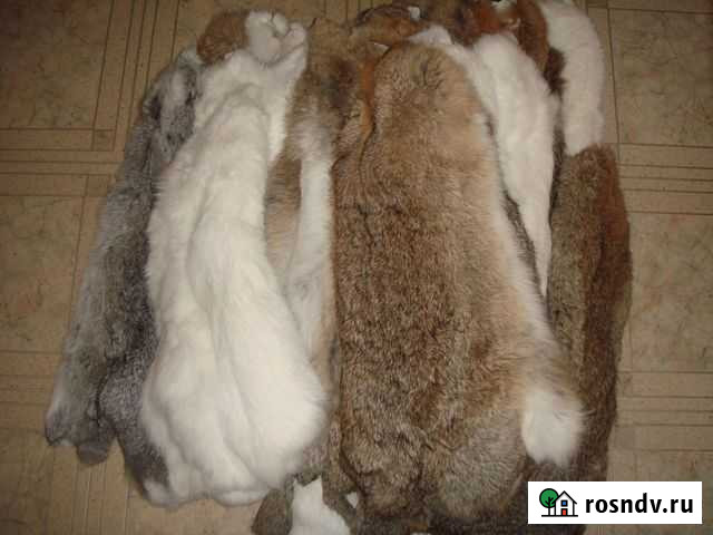 Шкуры Киров - изображение 1