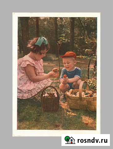 Грибники Становов дети пионерия радио Зенькова Белгород - изображение 1