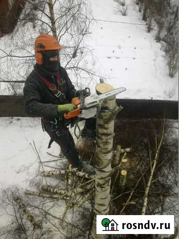 Спил деревьев, кронирование, обрезка, расчистка уч Брянск - изображение 1