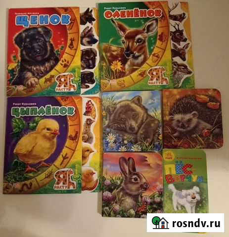 Книжки картонки детские Хабаровск - изображение 1