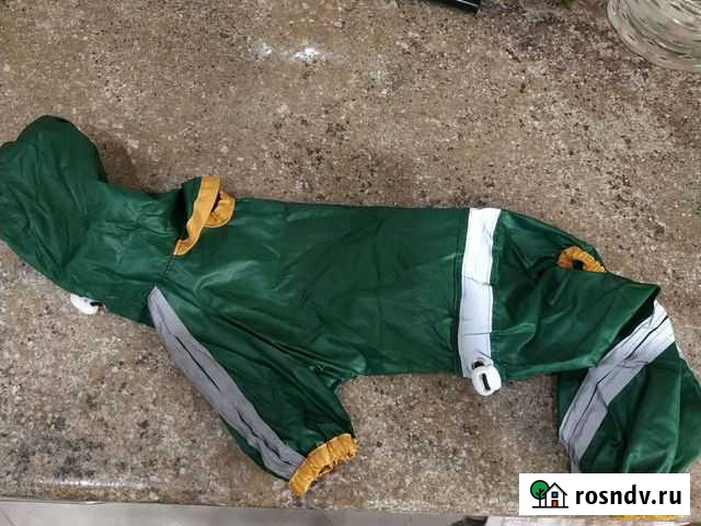 Комбинезон для собаки Рязань - изображение 1