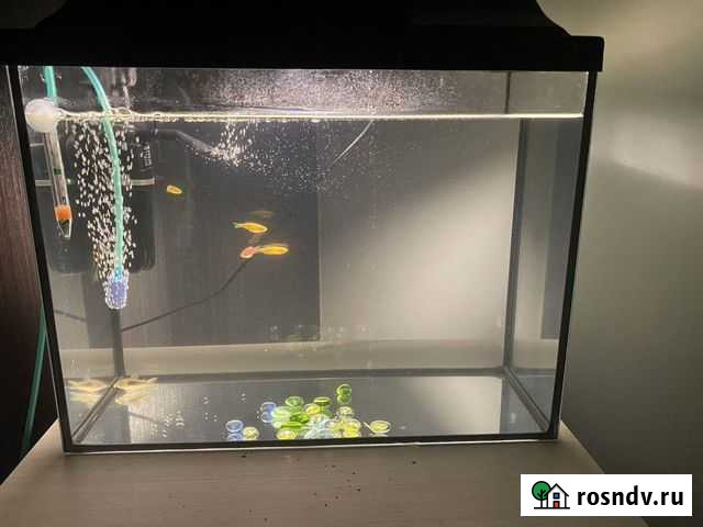 Аквариум Гагарин - изображение 1