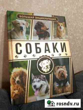 Книга Клинцы