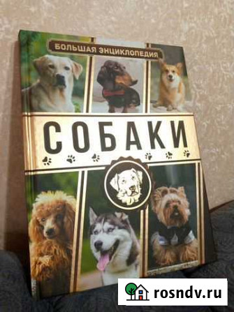 Книга Клинцы - изображение 1