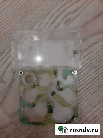 Продаются муравьинные фермы Краснодар - изображение 1