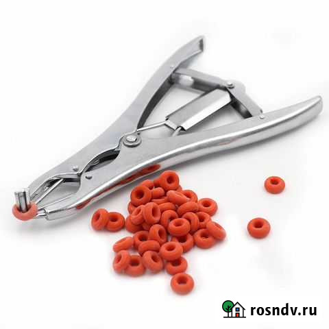 Щипцы для кастрации Прокопьевск - изображение 1