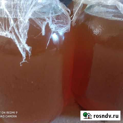 Мед Ленинкент - изображение 1