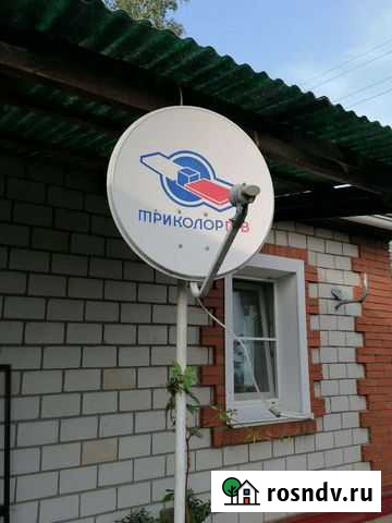 Ресивер триколор Лебяжье - изображение 1