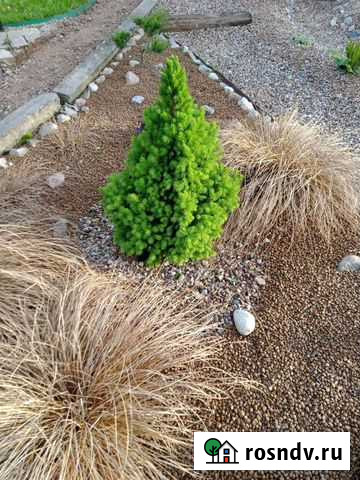 Ландшафт Невель - изображение 1