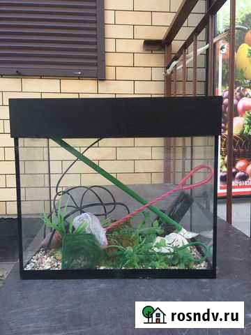 Террариум Астрахань - изображение 1