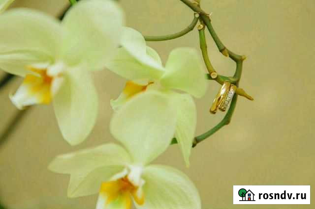 Фотограф и видеооператор вашего мероприятия Чебоксары - изображение 1