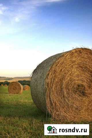 Сено Тальменка - изображение 1