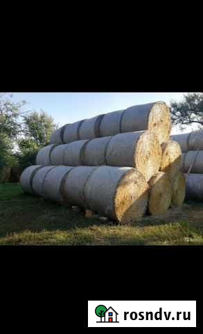 Солома, сено степное Пролетарск - изображение 1